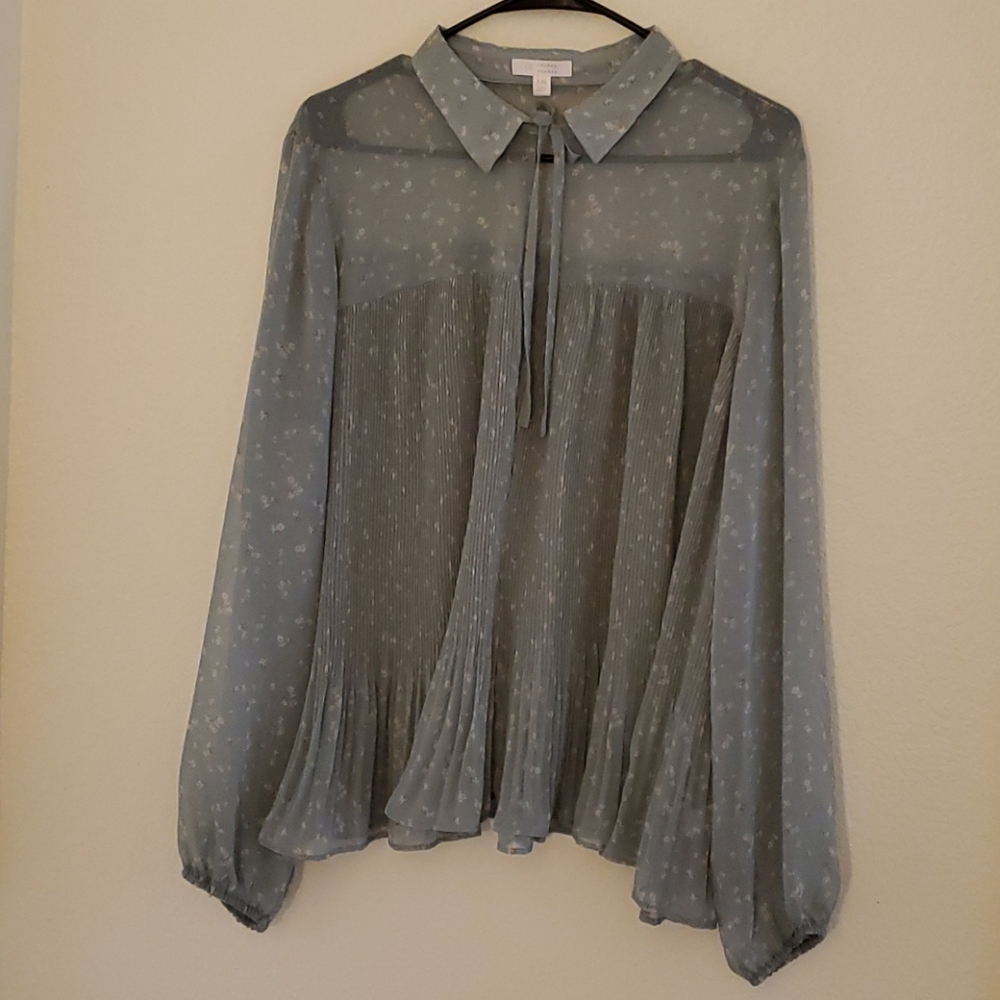 Sheer Sea Green Blouse